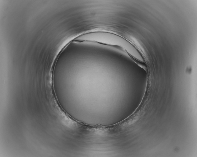 X0000091580900200709051058