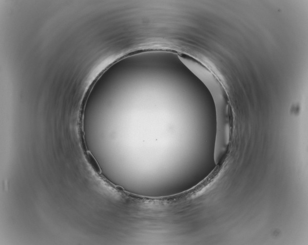 X0000091580901200709051058