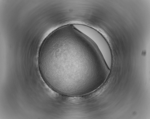 X0000091580902200709051058