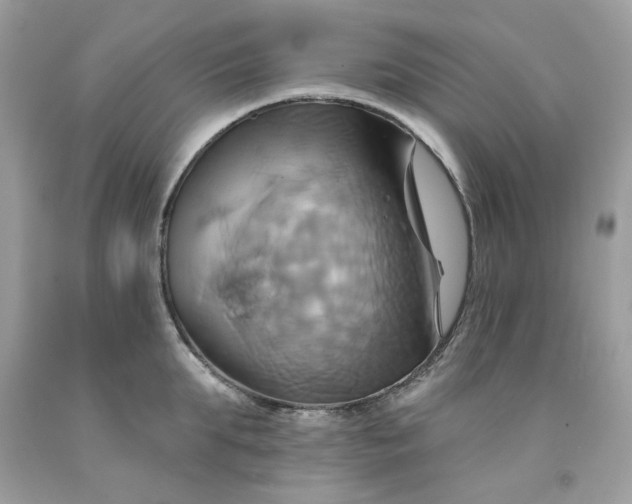 X0000091580903200709051058