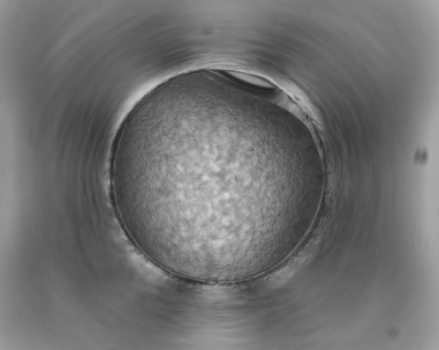 X0000091580904200709051058