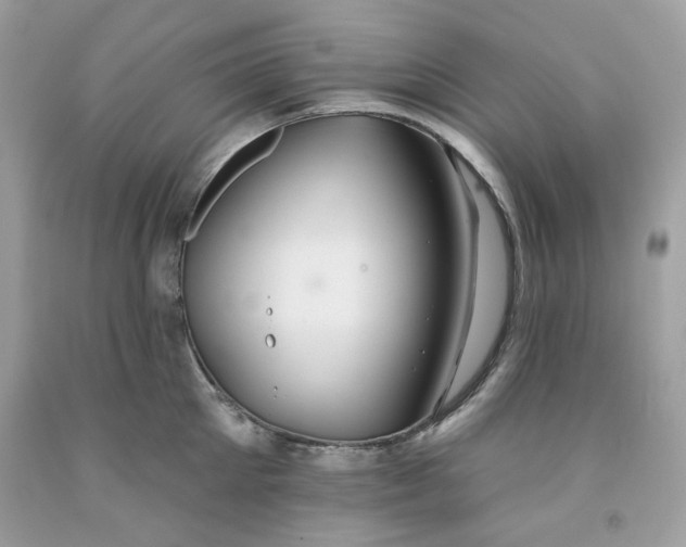 X0000091580905200709051058