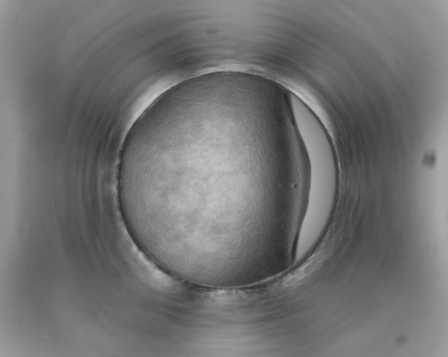 X0000091580906200709051058