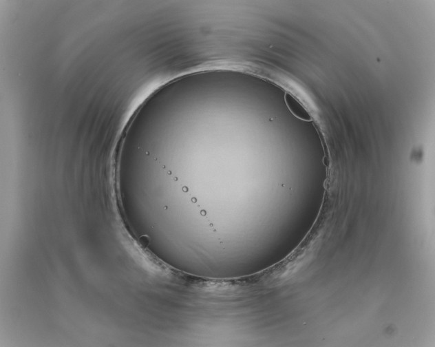 X0000091580907200709051058