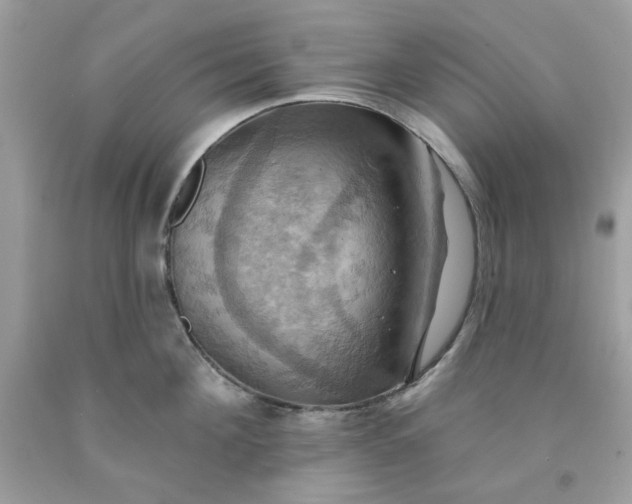 X0000091580908200709051058