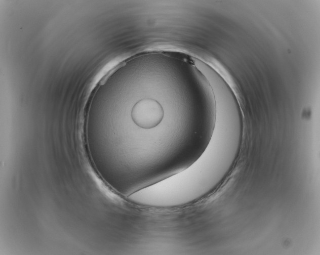 X0000091580909200709051058