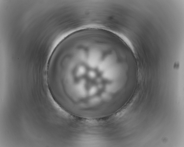 X0000091580911200709051058