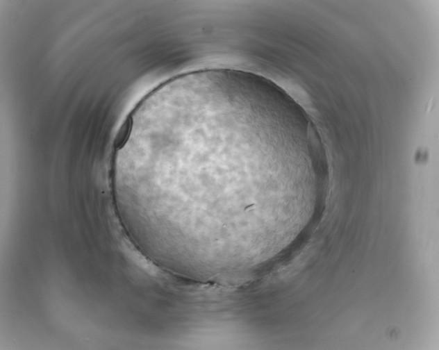 X0000091580912200709051058