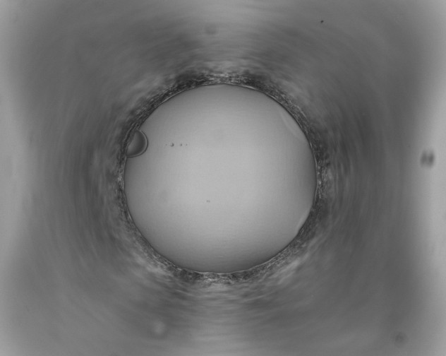 X0000091580913200709051057