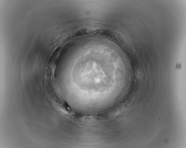 X0000091580914200709051057