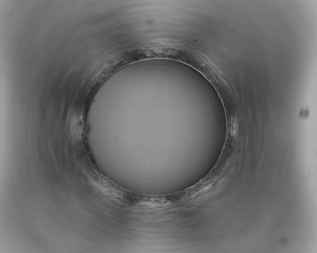 X0000091580915200709051057