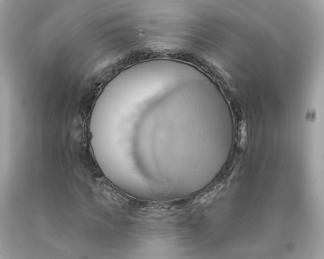 X0000091580917200709051057