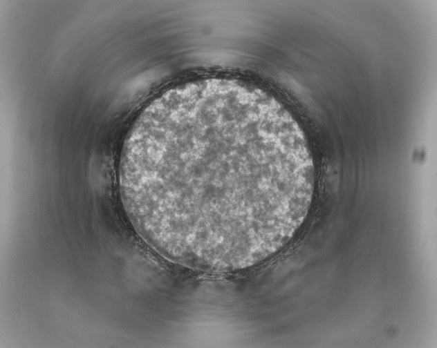 X0000091580918200709051057