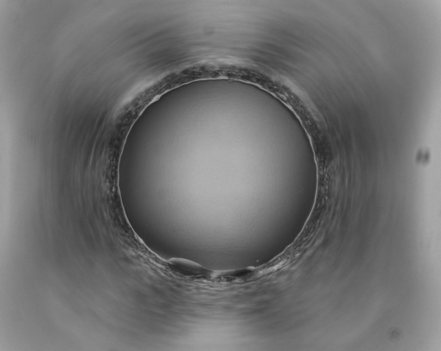 X0000091580919200709051057