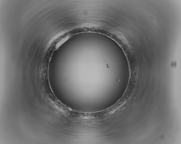 X0000091580920200709051057