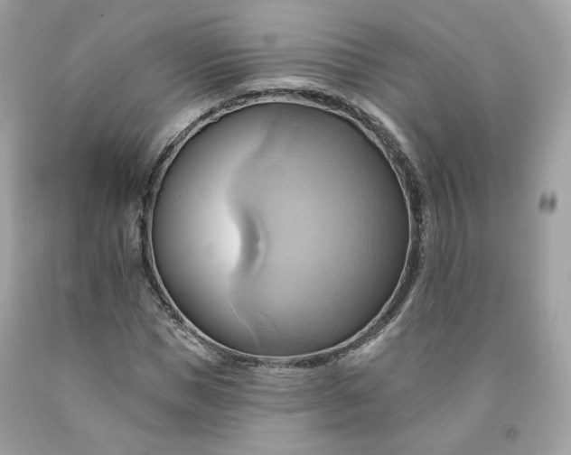 X0000091580921200709051057