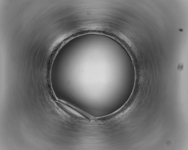 X0000091580922200709051057