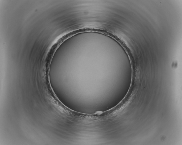 X0000091580923200709051057