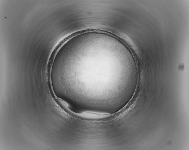 X0000091580924200709051057