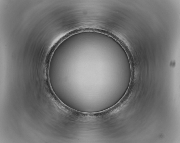 X0000091580925200709051057