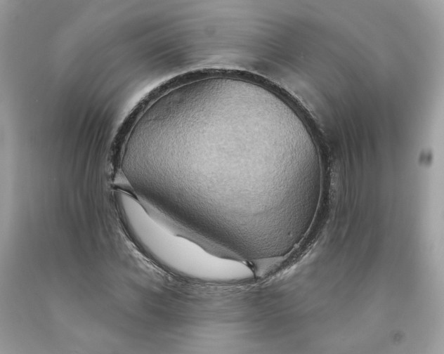 X0000091580926200709051057