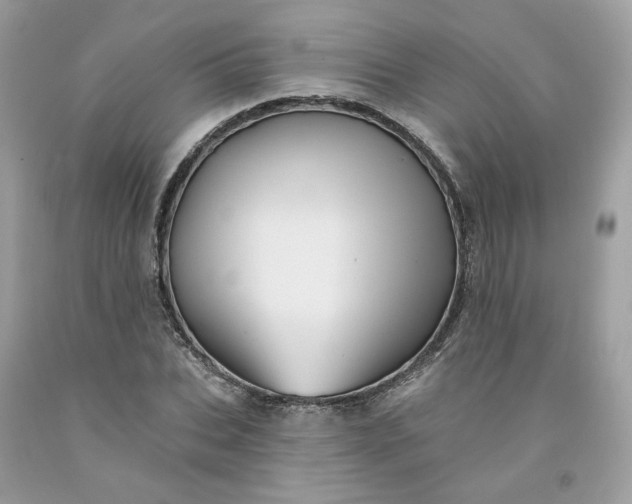 X0000091580927200709051057