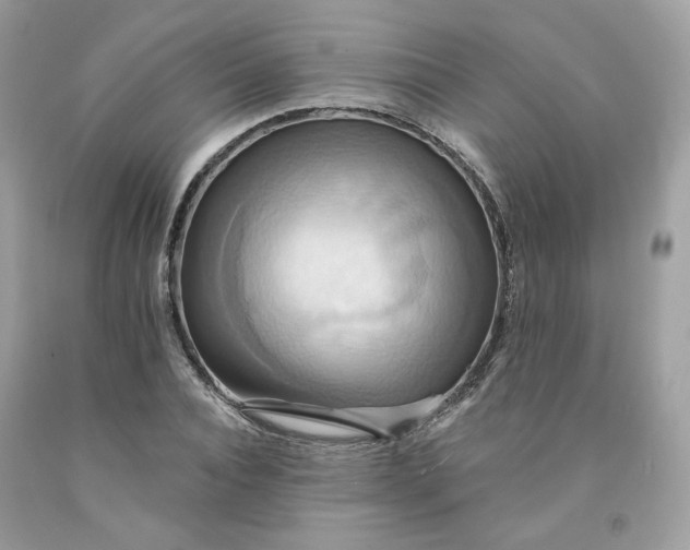 X0000091580928200709051057