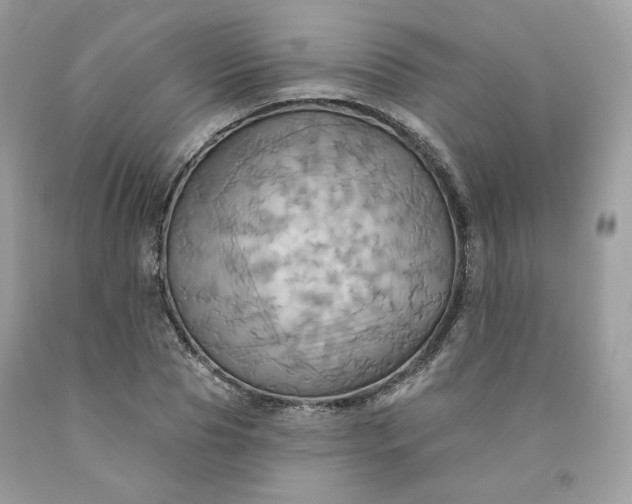 X0000091580929200709051057