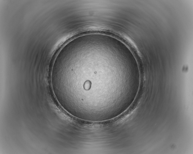 X0000091580930200709051057