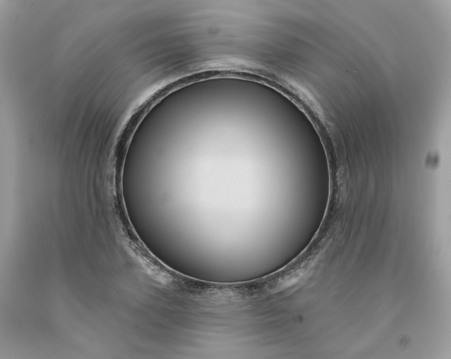 X0000091580931200709051057