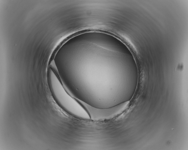 X0000091580932200709051057