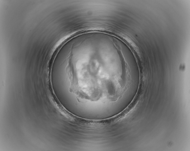 X0000091580933200709051057