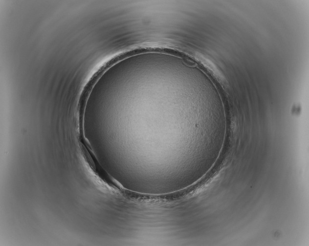 X0000091580934200709051057