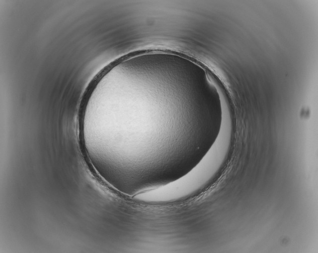 X0000091580936200709051057