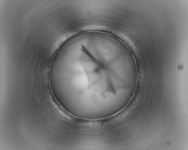 X0000091580937200709051057