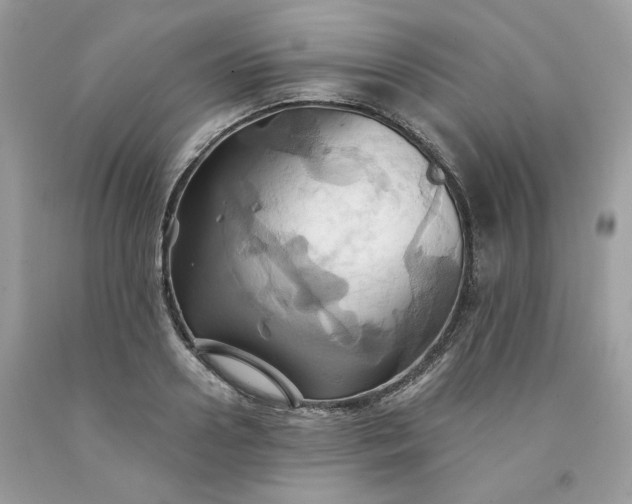 X0000091580938200709051057