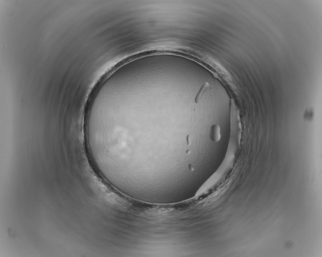 X0000091580939200709051057