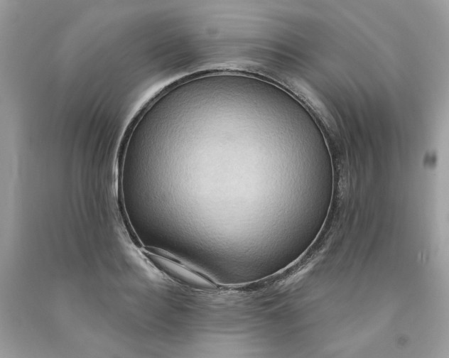 X0000091580940200709051057