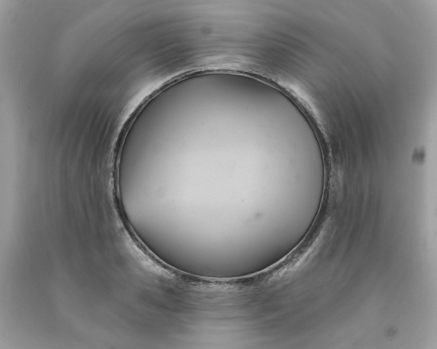 X0000091580941200709051057