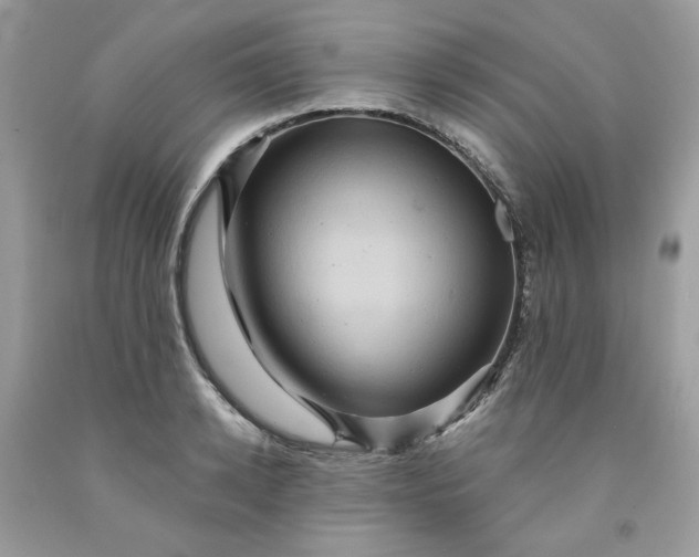 X0000091580942200709051057