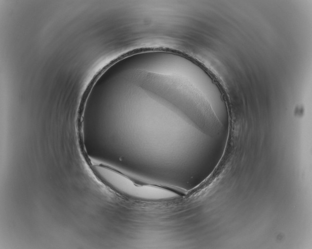 X0000091580943200709051057