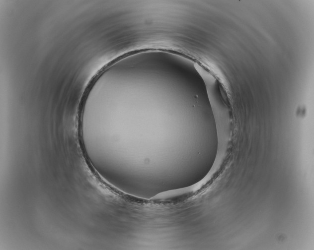 X0000091580944200709051057