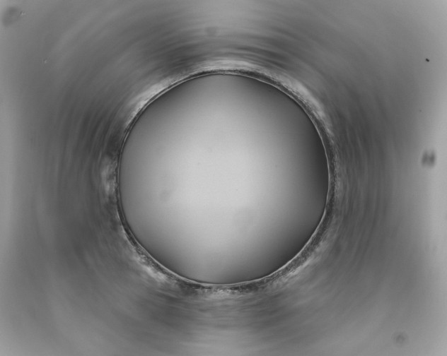 X0000091580945200709051057