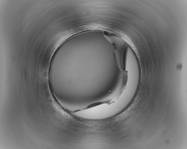 X0000091580946200709051057