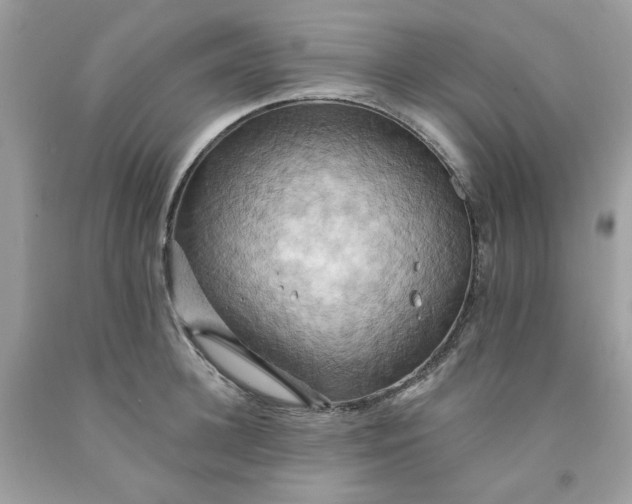 X0000091580948200709051057