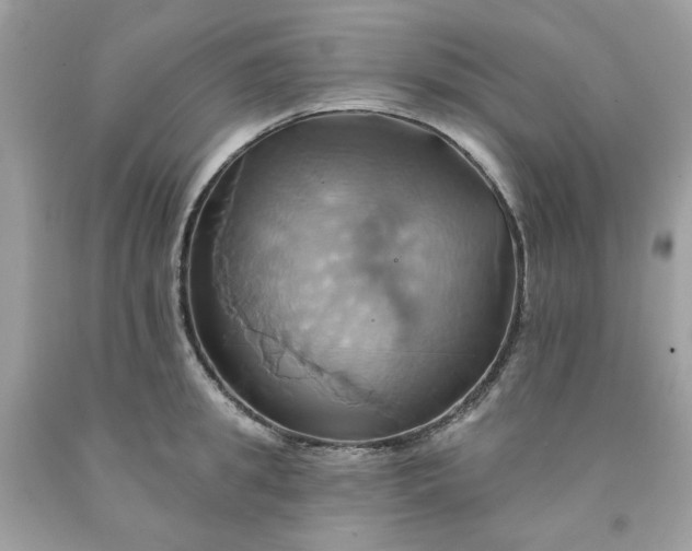 X0000091580949200709051058