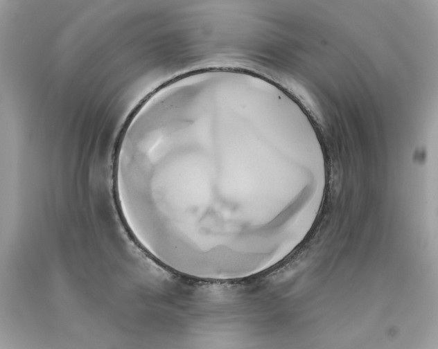 X0000091580950200709051058