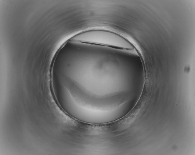 X0000091580951200709051058