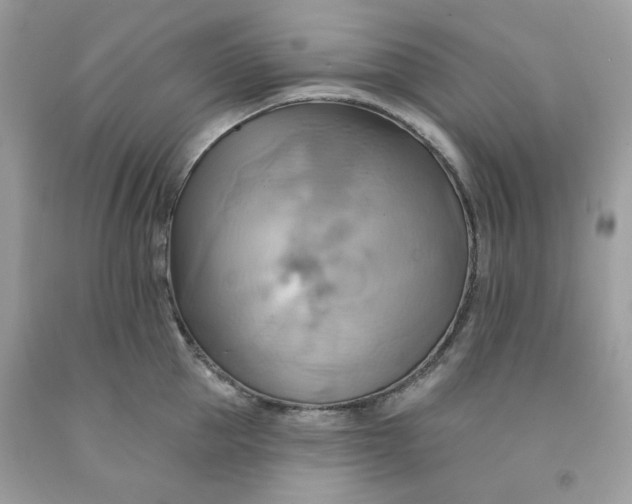 X0000091580953200709051058