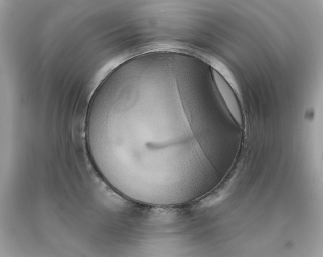 X0000091580954200709051058